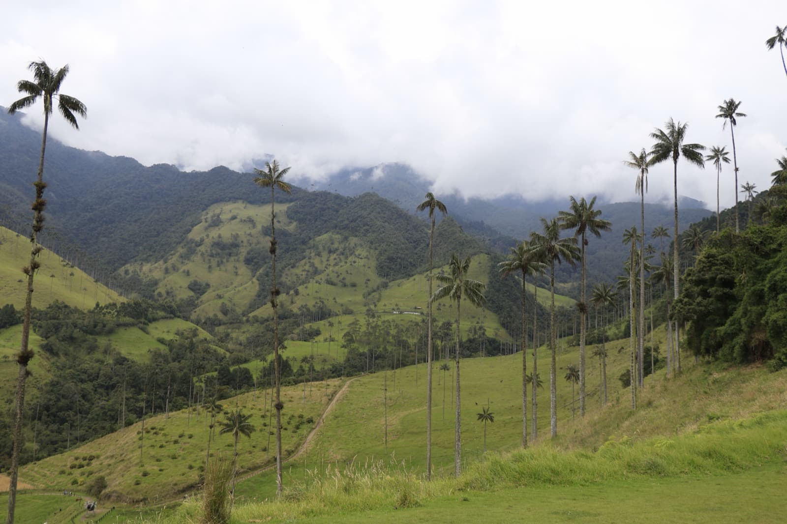 Hiking & Cycling Trail Network Analysis — Quindío Mountain Range